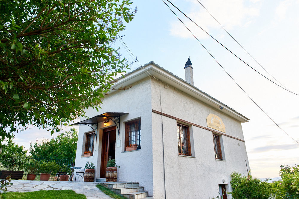 Triantafillies Guesthouse بورتاريا المظهر الخارجي الصورة
